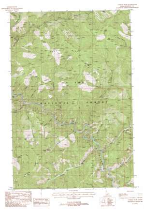 Conrad Peak USGS topographic map 47115b4