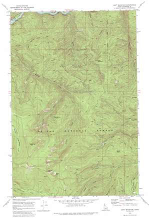 Hoyt Mountain topo map