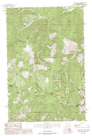McGee Peak USGS topographic map 47115c4