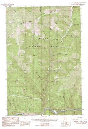 Mastodon Mountain USGS topographic map 47115c8