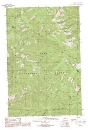 Penrose Peak USGS topographic map 47115d2