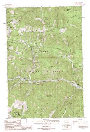 Saltese USGS topographic map 47115d5