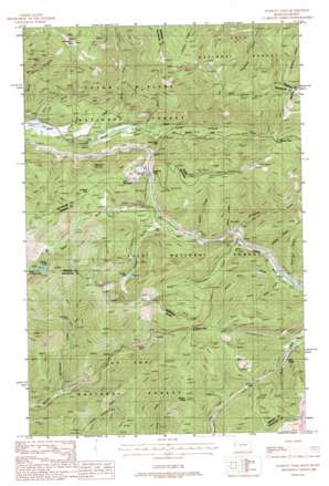 Lookout Pass topo map