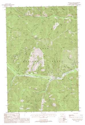 Driveway Peak USGS topographic map 47115e5