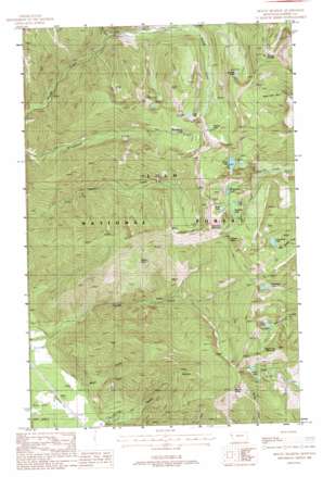 Mount Headley topo map