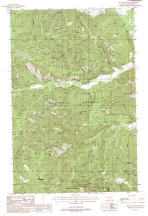 Helwick Peak USGS topographic map 47115f5