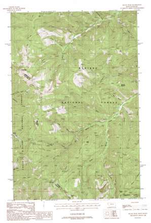 Black Peak USGS topographic map 47115f6