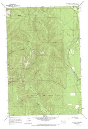 Richards Peak USGS topographic map 47115g1