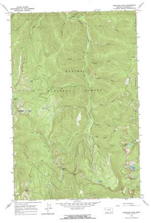 Vermilion Peak topo map