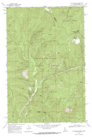 Taylor Peak topo map