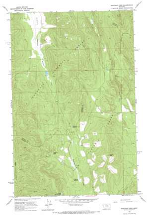 Mantrap Fork USGS topographic map 47115h2