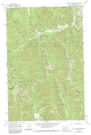 Silver Butte Pass USGS topographic map 47115h4