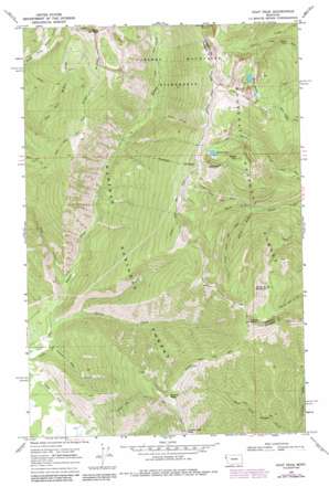 Goat Peak USGS topographic map 47115h5