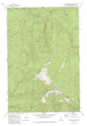 Grandmother Mountain USGS topographic map 47116a1