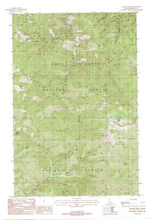 Polaris Peak USGS topographic map 47116d1