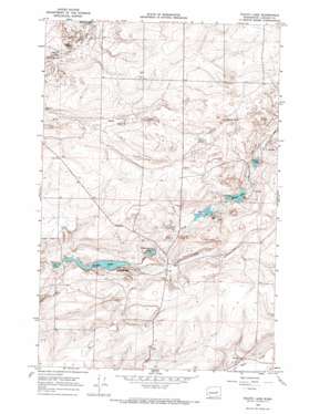 Pacific Lake USGS topographic map 47118d6