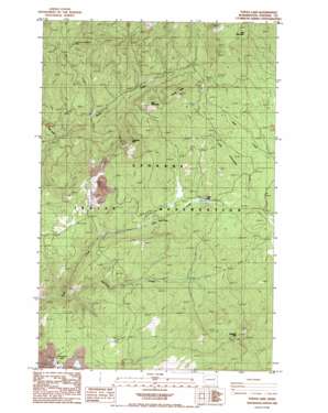 Turtle Lake USGS topographic map 47118h1