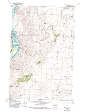 Wells Dam USGS topographic map 47119h7