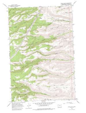 Stray Gulch USGS topographic map 47120b2