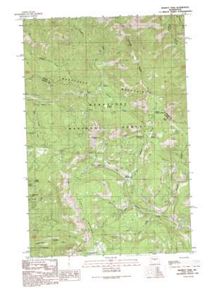 Blewett Pass USGS topographic map 47120c5