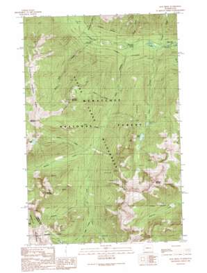 Jack Ridge topo map