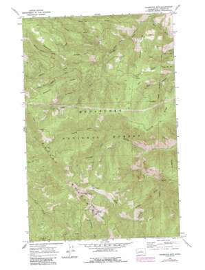 Chumstick Mountain topo map