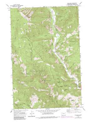 Tyee Mountain USGS topographic map 47120g4
