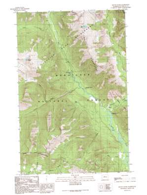 Mount David USGS topographic map 47120h8