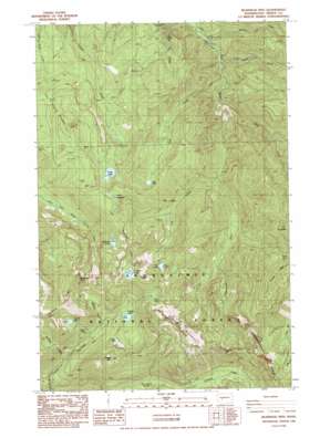 Cyclone Creek USGS topographic map 47121a7