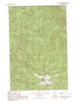 Blowout Mountain USGS topographic map 47121b3