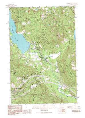 Stampede Pass USGS topographic map 47121c3
