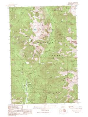 Davis Peak USGS topographic map 47121d1
