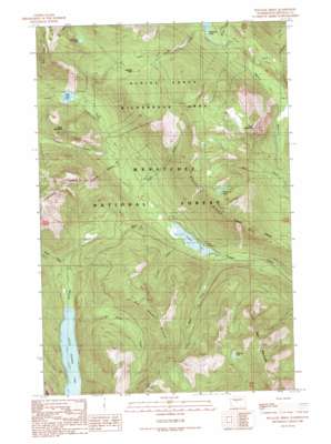 Polallie Ridge USGS topographic map 47121d2