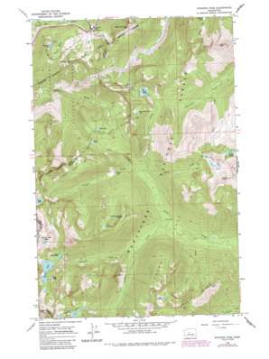 Stevens Pass USGS topographic map 47121f1
