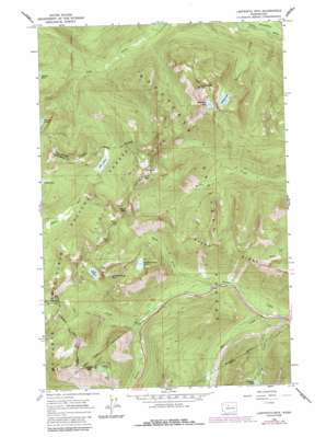 Labyrinth Mountain USGS topographic map 47121g1