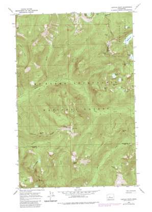 Labyrinth Mountain USGS topographic map 47121g2