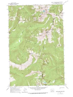 Benchmark Mountain USGS topographic map 47121h2