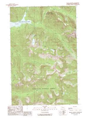 Mount Stickney USGS topographic map 47121h5