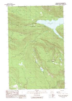 Wallace Lake USGS topographic map 47121h6
