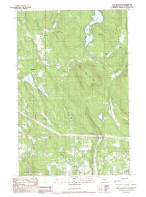 Lake Roesiger USGS topographic map 47121h8
