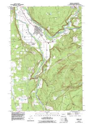 Orting topo map