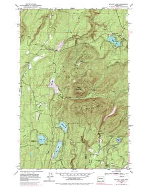 Wildcat Lake USGS topographic map 47122e7