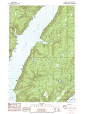 Lilliwaup topo map