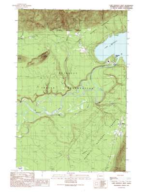Quinault Lake West topo map
