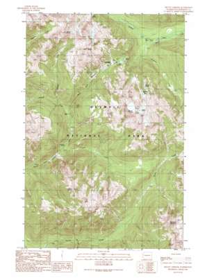 Mount Christie topo map