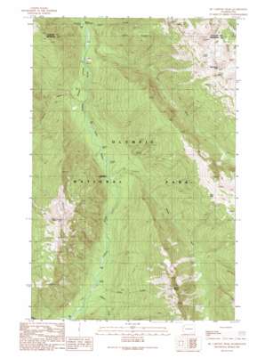 Mccartney Peak topo map