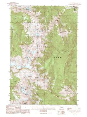 Mount Queets topo map