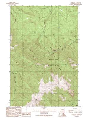Tyler Peak topo map
