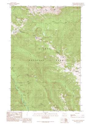 Mount Angeles topo map