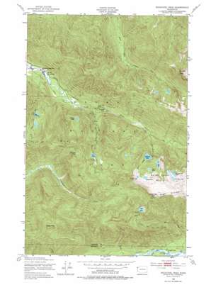 Bogachiel Peak USGS topographic map 47123h7